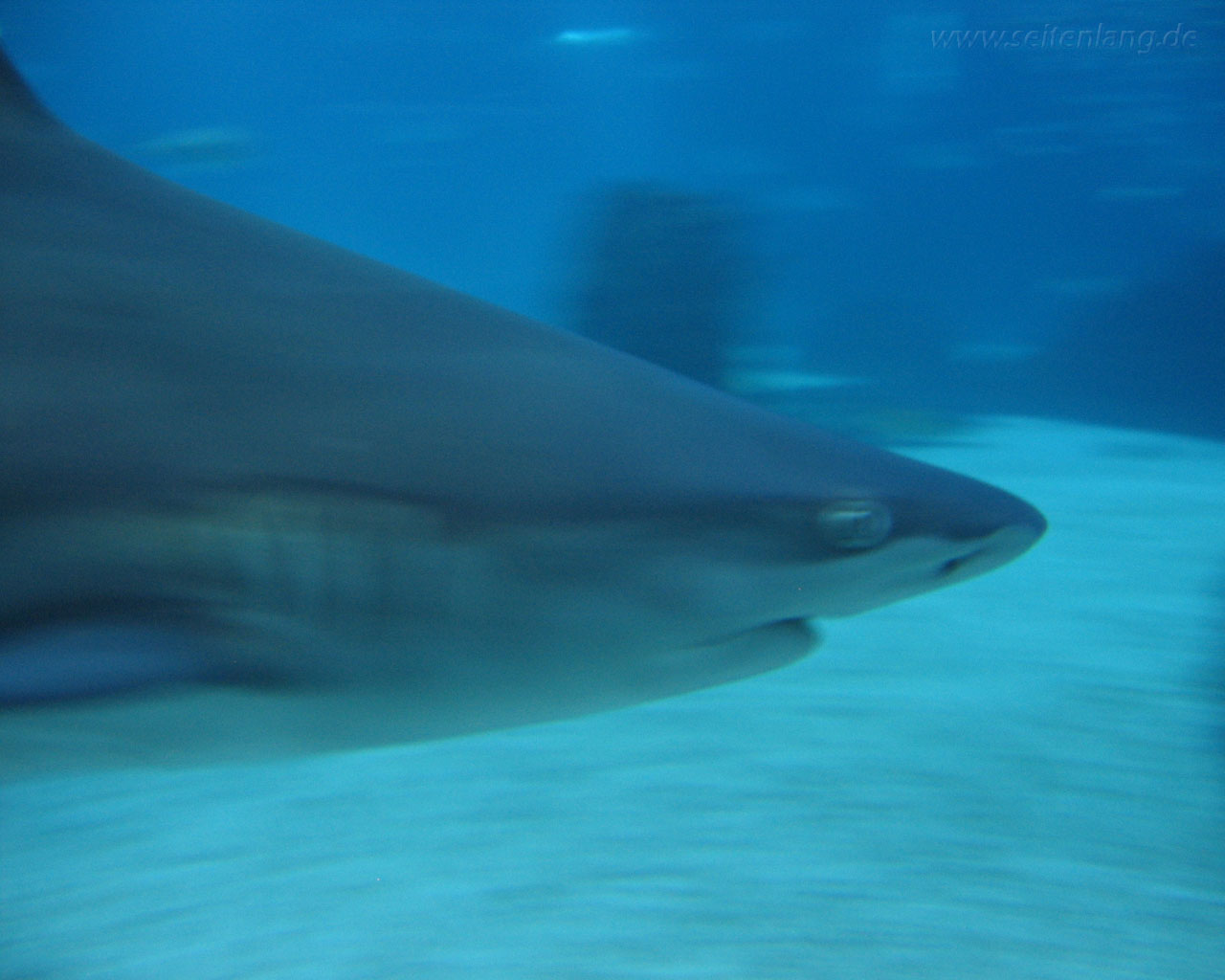 Desktophintergrund, Wallpaper